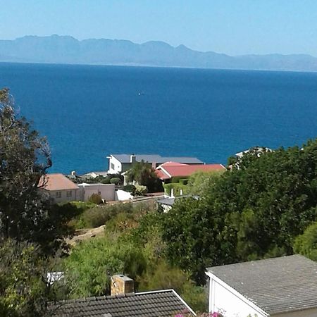 Froggy Bay Is The Best All The Way! Simonʼs Town Εξωτερικό φωτογραφία